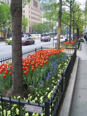 But on both the roadway’s sides … Wonderful Flower Beds colour the street