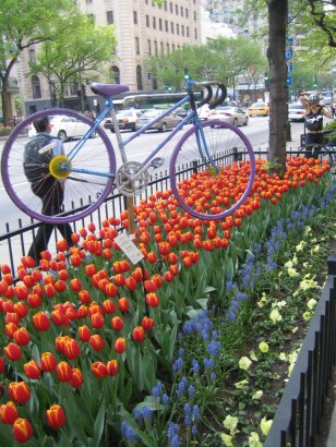 Ecco Le biciclette riviste, Soggetto Artistico Dell'anno in Città